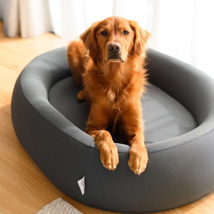 Creating a Calmer Home: How Better Sleep Supports Happy Dogs